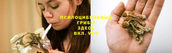 гидра Верея