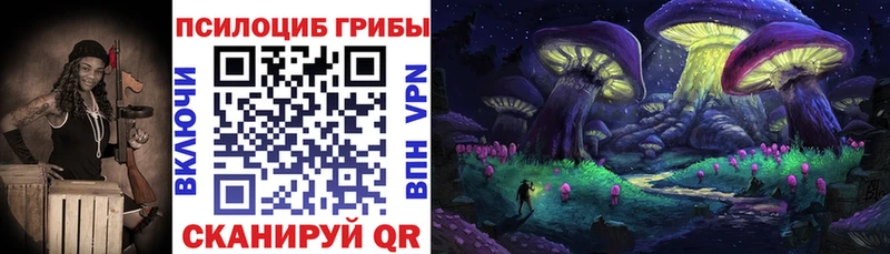 Псилоцибиновые грибы Psilocybine cubensis  Вилюйск 